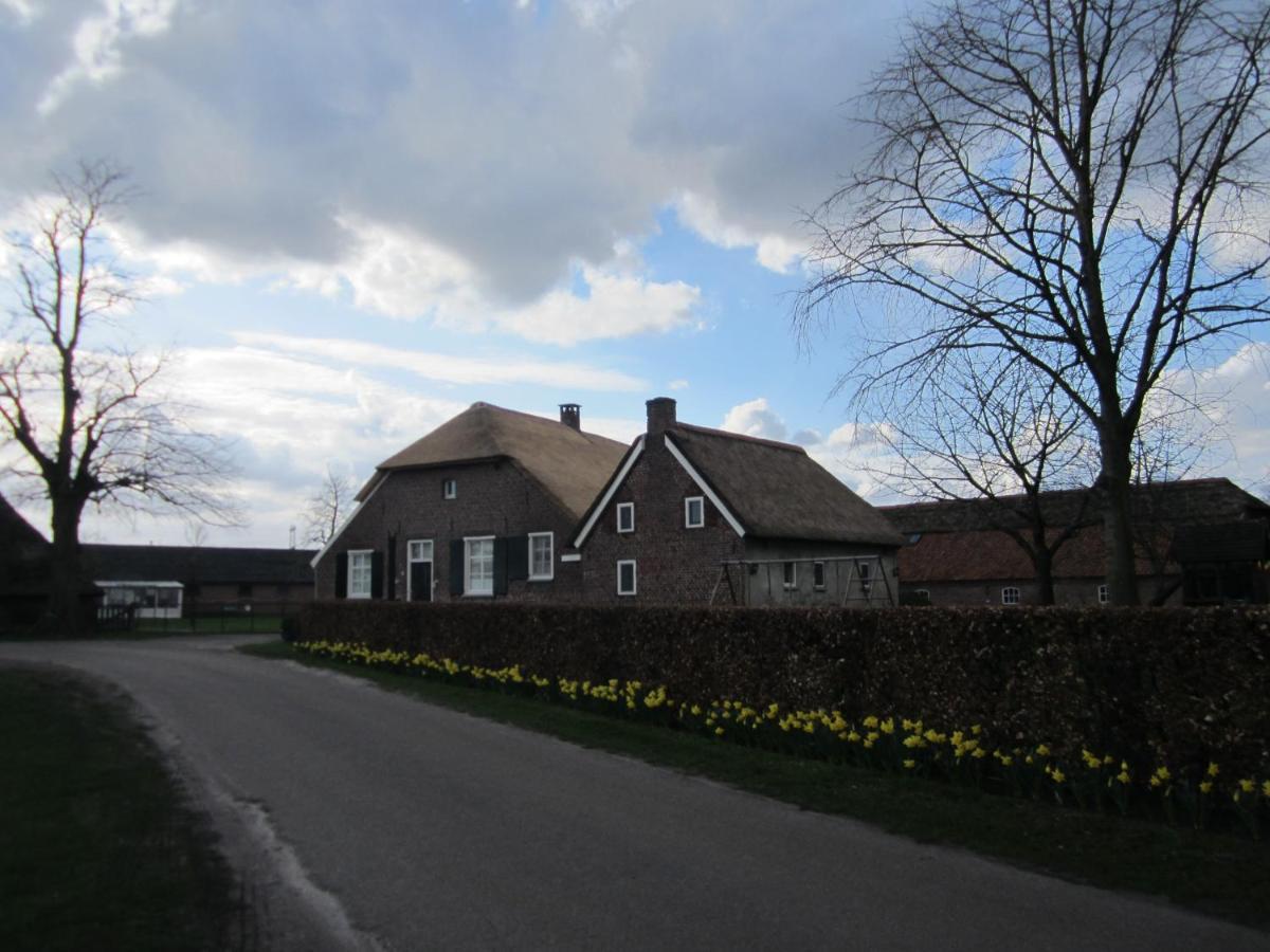 De Martiene Plats B&B&Appartement Merselo Exterior foto