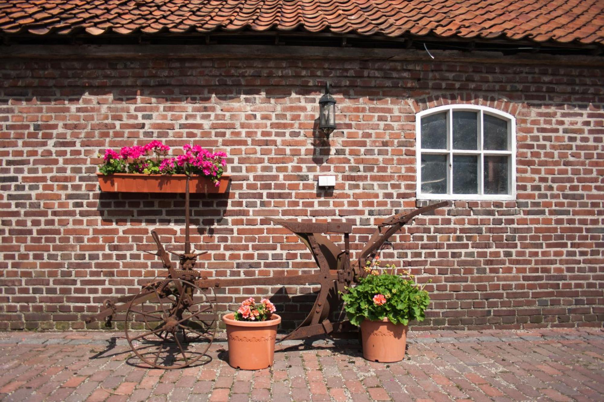 De Martiene Plats B&B&Appartement Merselo Exterior foto